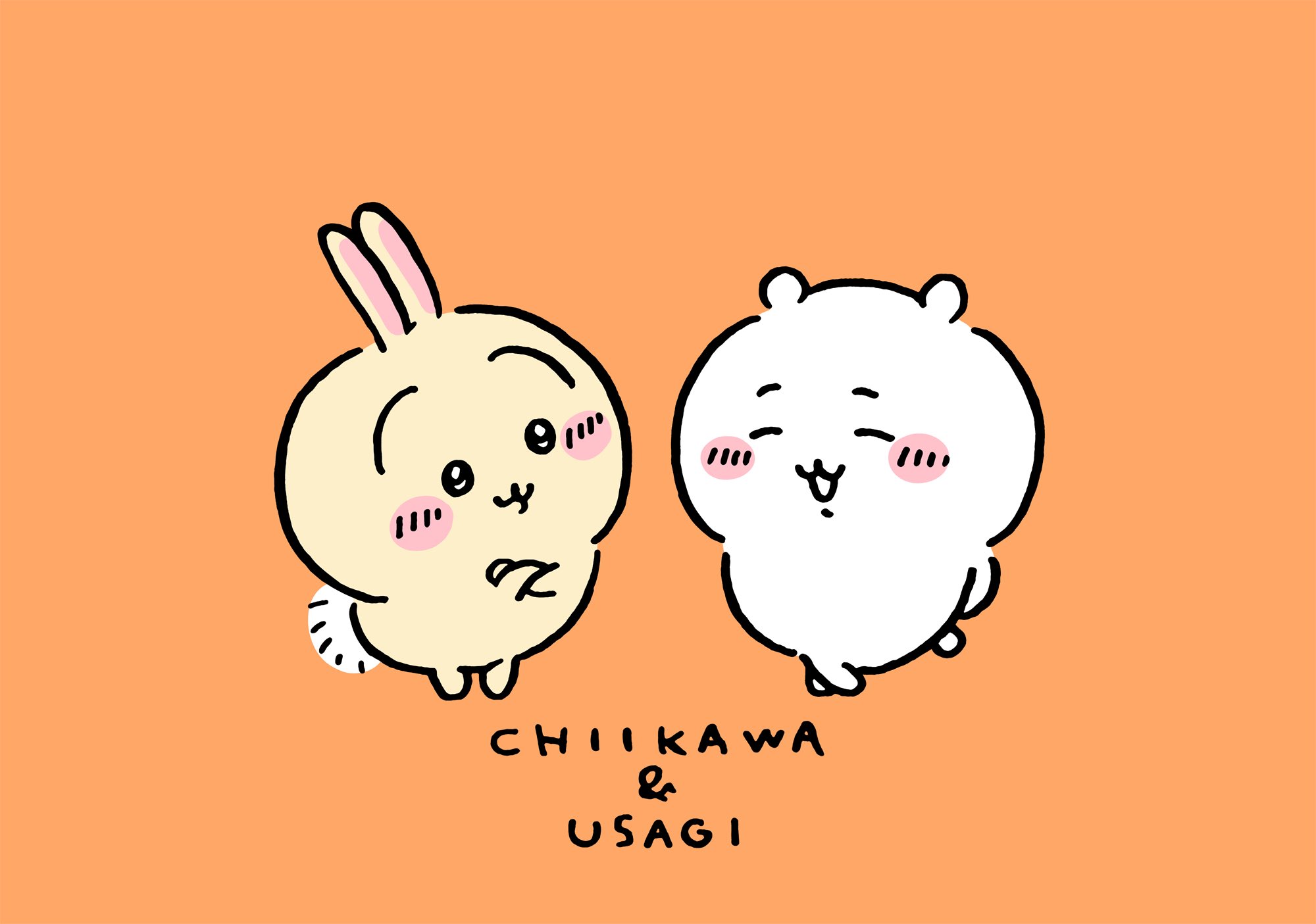CHIIKAWA うさぎまとめ！ Chiikawa] The Chiikawa Rabbit Lottery is so hot! The full