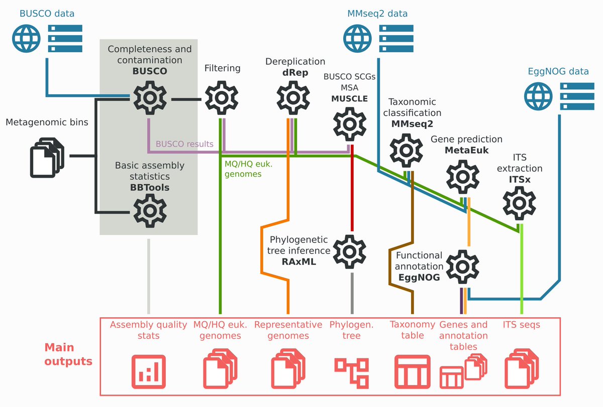 Our new <a href="/nextflow/">daniel rosales</a> pipeline for eukaryotic MAGs github.com/metashot/awema…