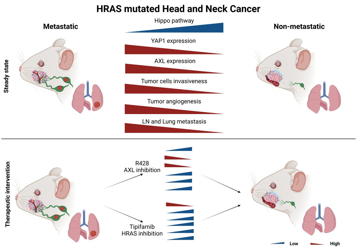 Moshe Elkabets - Elkabets lab tweet media