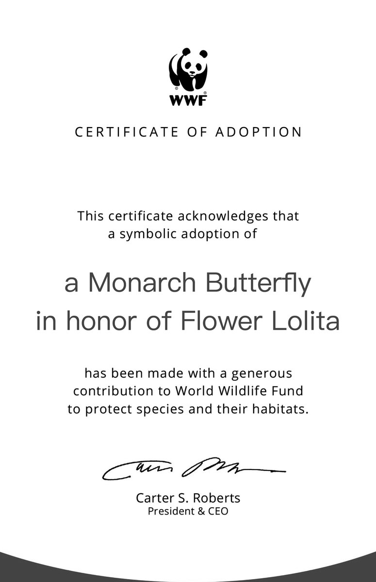 Flower Lolita NFT (N3 PASS) tweet media