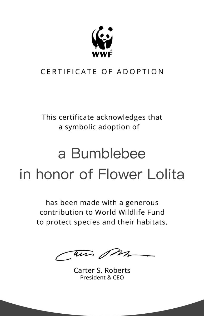 Flower Lolita NFT (N3 PASS) tweet media