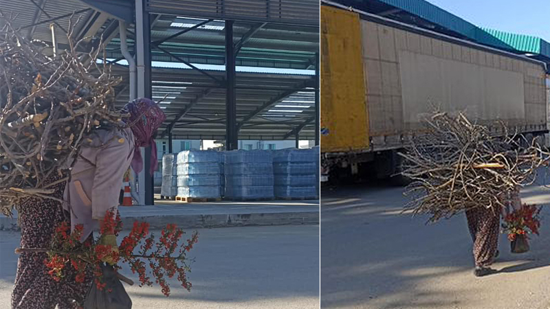 Bir teyzemiz dağda topladığı odunları sırtında taşıyıp, deprem bölgesine yardım amaçlı kurulan merkeze getirdi.