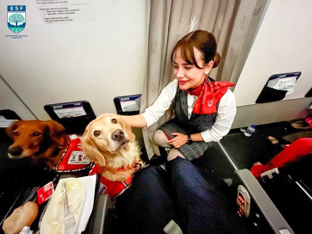 RonallChersan's tweet photo. 🛫 ภาพบรรยากาศ ระหว่างสุนัข K9 ทั้งสองตัวของไทย กำลังเดินทางไปช่วยผู้ได้รับผลกระทบและค้นหาผู้สูญหายจากแผ่นดินไหวที่ตุรกี ที่ทางเพจ K9 : USAR Thailand นำมาเผยแพร่

ตอนนี้คาดว่าน้องๆทั้ง 2 ตัวน่าจะถึงพื้นที่เป้าหมายปฏิบัติภารกิจที่สำคัญนี้แล้ว

สู้ๆนะเจ้าสี่ขาจากประเทศไทย ❤️ https://t.co/yOld2VARDE