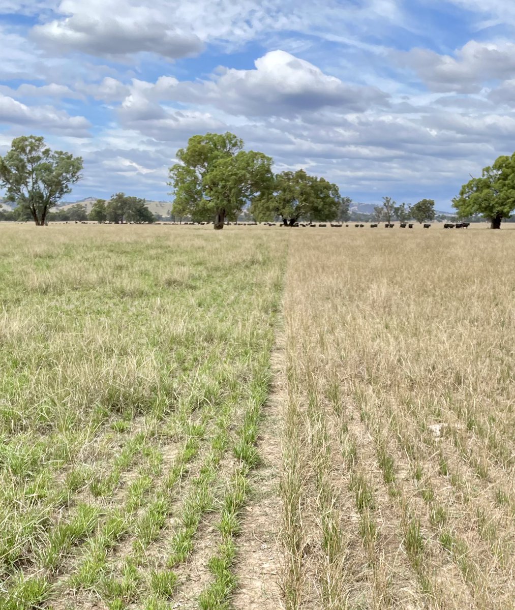 Alex Tier tweet media