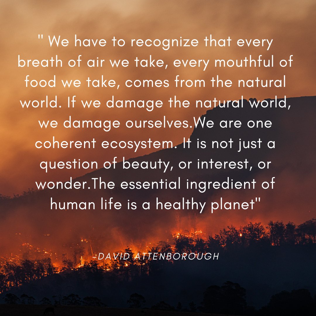 ecoresolve's tweet photo. Take care of the #planet. https://t.co/jtUxQ4p9y5