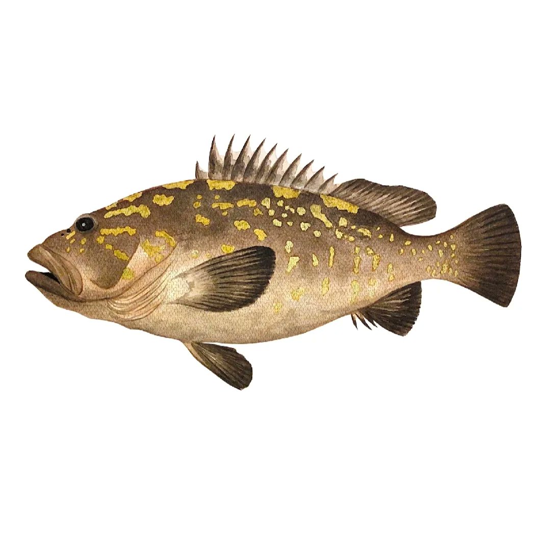 ¡Bienvenid@s a DivulMar!🌊 

Somos un colectivo de divulgación con la idea de compartir cualquier proyecto científico y/o artístico relacionado con el mar. Además, dentro de poco os presentaremos nuestro primer proyecto propio: ¡un juego de cartas! 🐟🦀

🎨🖌️Ángela Rodríguez Ruíz