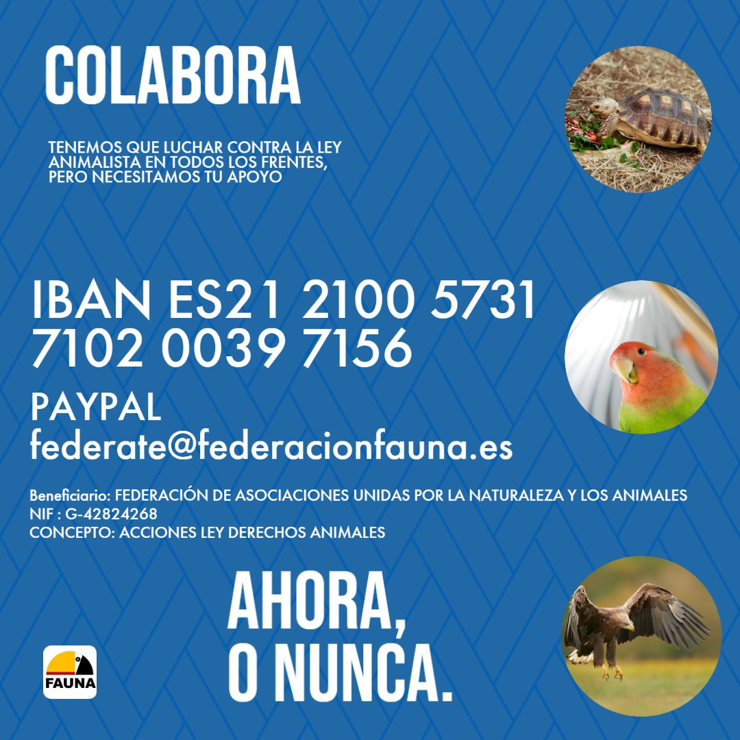 Mucha gente pensaba que no iba a ocurrir y está ocurriendo. Una ley animalista en España, una ley basada en creencias y no en la ciencia.
Ahora hay que combatir con todas las armas a nuestro alcance. 
Colabora con FAUNA 
IBAN ES21 2100 5731 7102 0039 7156