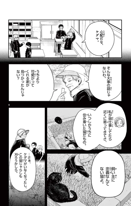 愛されたネコの最期をなぞるお話。

2/6
#漫画が読めるハッシュタグ 
#創作漫画 
