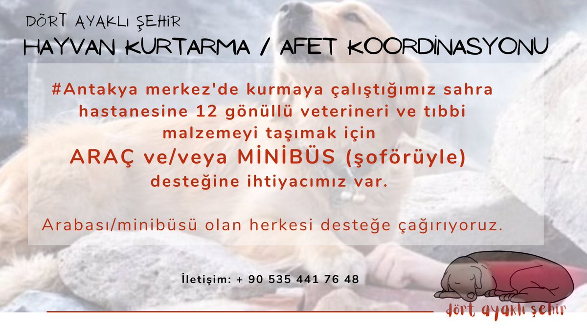 #Antakya merkez'de kurmaya çalıştığımız sahra hastanesine 12 gönüllü veterineri ve tıbbi malzemeyi taşımak için araç ya da minibüs (şoförüyle) desteğine ihtiyacımız var. 

Çok acil - lütfen paylaşır mısınız? 

İletişim:  0 535 441 76 48

#depremhatay 
#DEPREMYARDIM