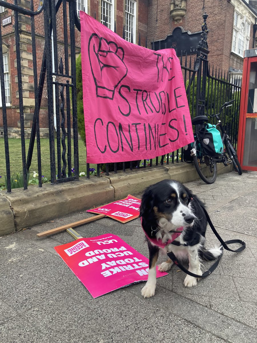 The struggle continues ✊another day another picket @UCUNUbranch #dogsonpicketlines #PippinOnThePicket