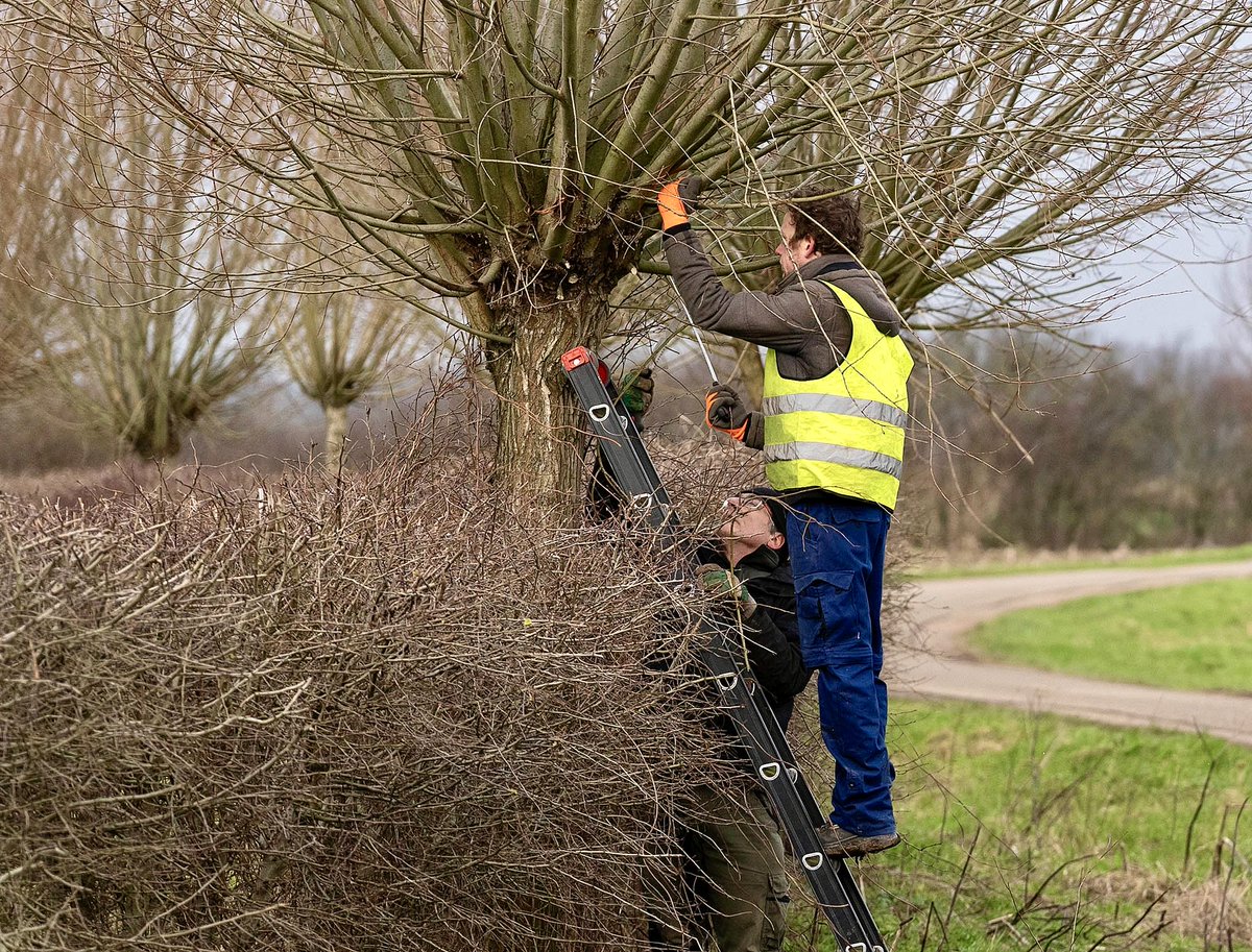 larsvanpeij's tweet photo. #knotten met collega’s van @VNC_Landschap 🙂👍🏼 in de #ooijpolder https://t.co/qg7qQjGYBC