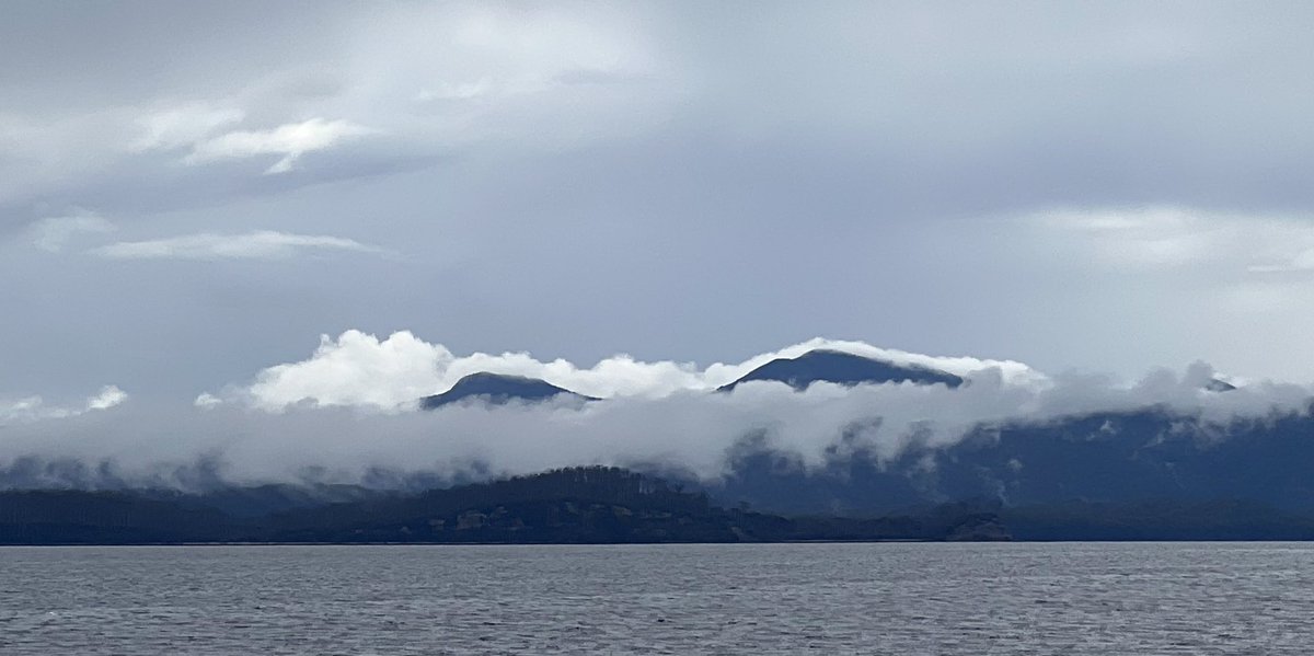 Ian R.Tyler🇮🇱🎗️💙 tweet media