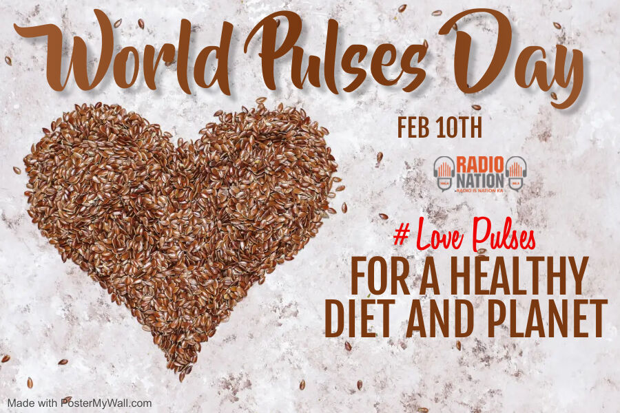 RadioNation_1's tweet photo. Pulses contribute to generating economic, social, and environmental opportunities for sustainable agrifood systems.
Pulses are nutrient-rich. They are a source of protein. 
#pulses #lentils #food #healthyfood #protein #organic #spices #rice #grocery #beans #vegan #groceryshopping https://t.co/OH88FKSUXT