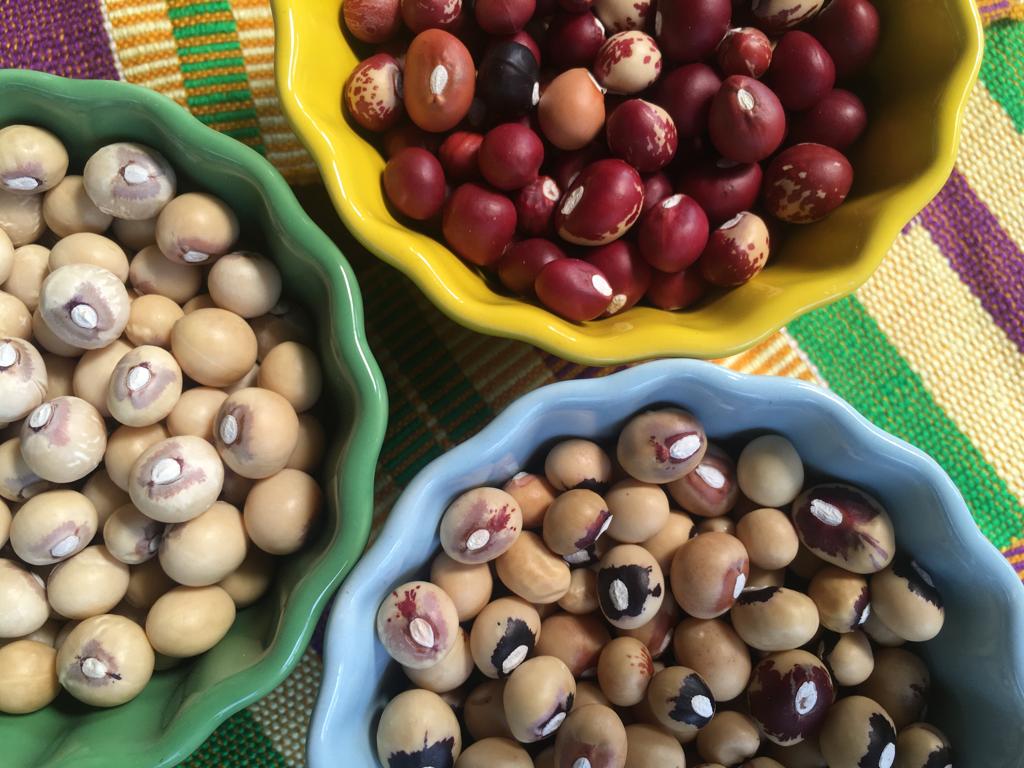 GroundUpGhana's tweet photo. Happy World Pulses Day!🫘 Bambara beans taste delicious, are a complete protein, and are indigenous to West Africa.🌟 Have you tried them yet?
#NaturePositiveFood #ForPeopleForPlanet #ResponsibleConsumption #ClimateResilient #Vegan #PlantProtein #LovePulses #WorldPulsesDay #FAO https://t.co/VGrSeW7MT6