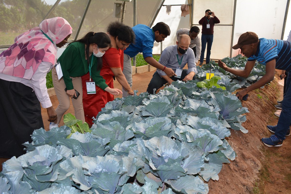 ITECnetwork's tweet photo. #ITEC continues its journey to build capacity as participants from 6 countries obtain in-depth exposure through training on Mass Production & Quality Control of Biopesticides at #NIPHM
@niphmindia
@dpa_mea
@prabhatk https://t.co/yYNuVDUwmP