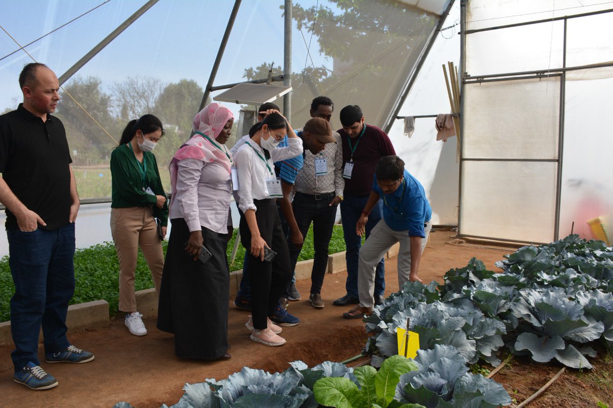 ITECnetwork's tweet photo. #ITEC continues its journey to build capacity as participants from 6 countries obtain in-depth exposure through training on Mass Production & Quality Control of Biopesticides at #NIPHM
@niphmindia
@dpa_mea
@prabhatk https://t.co/yYNuVDUwmP