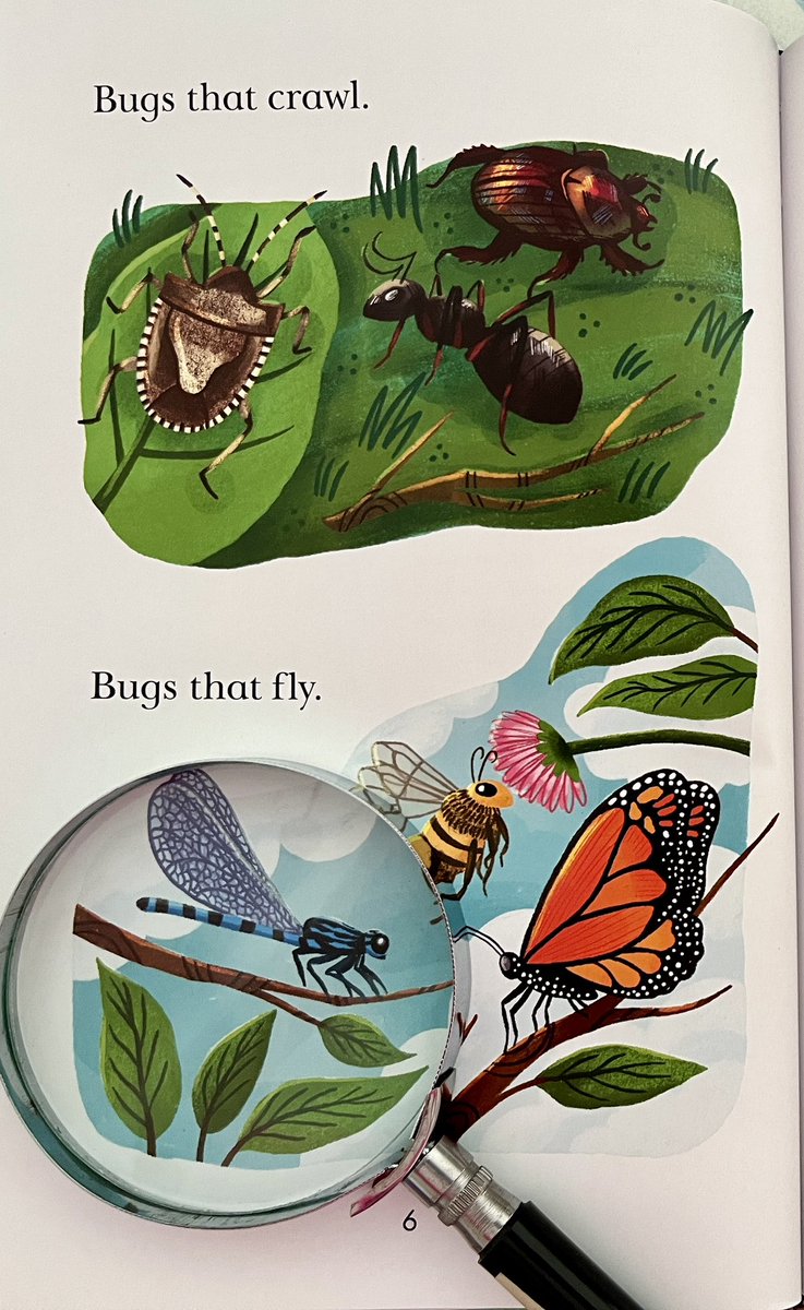 Meg_Litwin's tweet photo. Author copies of DIRT &amp; BUGSY: BUG CATCHERS!!! The bright, joyful art by @shaunaparmesan makes my heart so happy…and so do the adorable boys &amp; their bugs. 

So let’s celebrate!! RT + comment below with your favorite insect by end of day for a chance to win a copy!🐞 https://t.co/Fdw5t1BaYm
