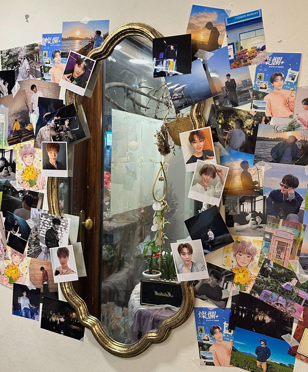 디노 폴더 tweet media
