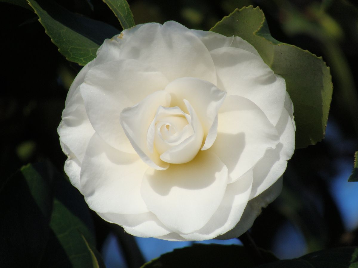 Galician Reader - mailchi.mp/f3392b794060/g…