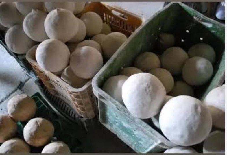 Siphesihle khumalo tweet media