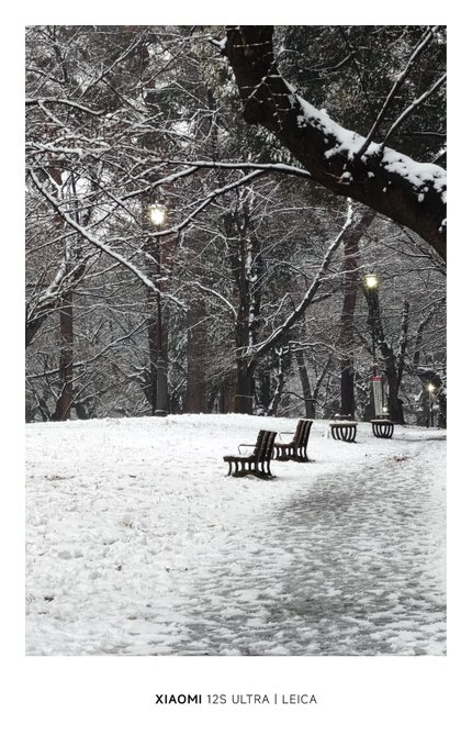 もう雪終わってた😇 