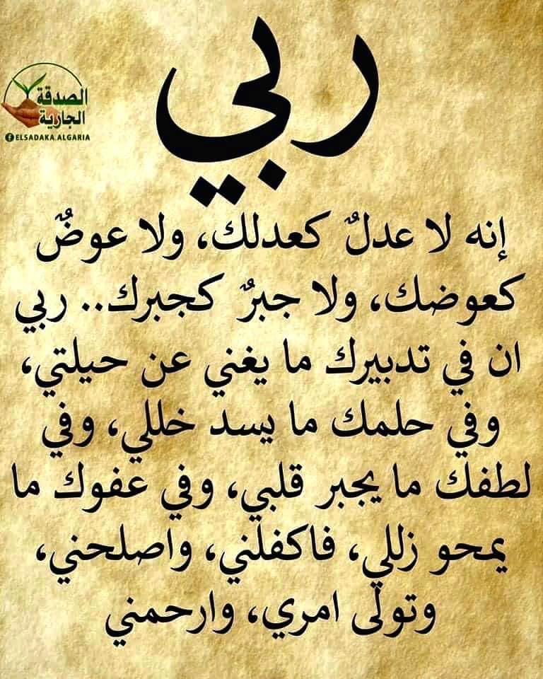 hodaelsayed71's tweet image. 