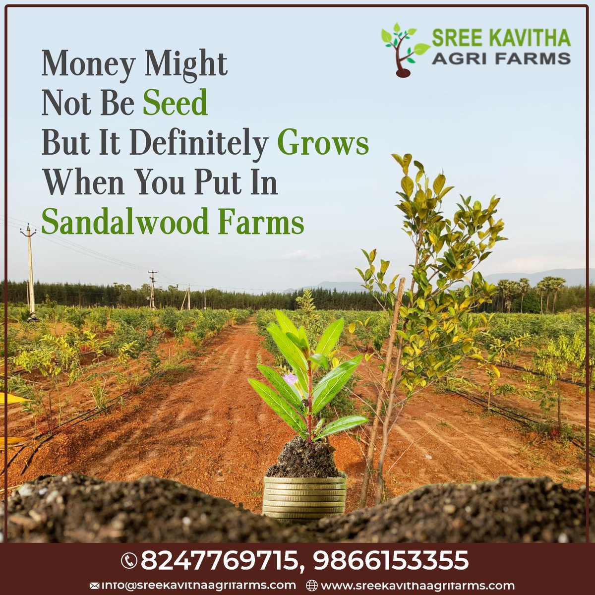 a wise investment only can create the leagacy wealth

Visit us at sreekavithaagrifarms.com
Contact :91 9866124455
Email: info@sreekavithaagrifarms.com

#smartinvesting #Sreevanam #sandalwoodopenplots #sreekavithaagrifarms #onetimeinvestment #typuram #SkAgriFarms