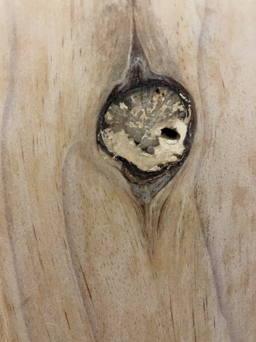 Andre the Giant lives on in my toilet door.