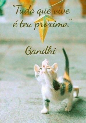 lully_kitten's tweet photo. Bom dia!☕ https://t.co/i6FQsduop0