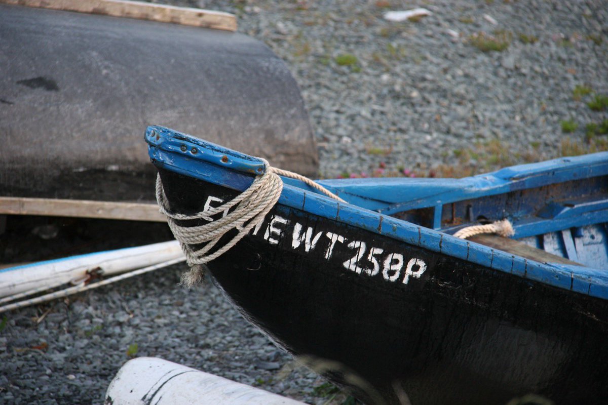 Low Impact Fishers of Europe tweet media