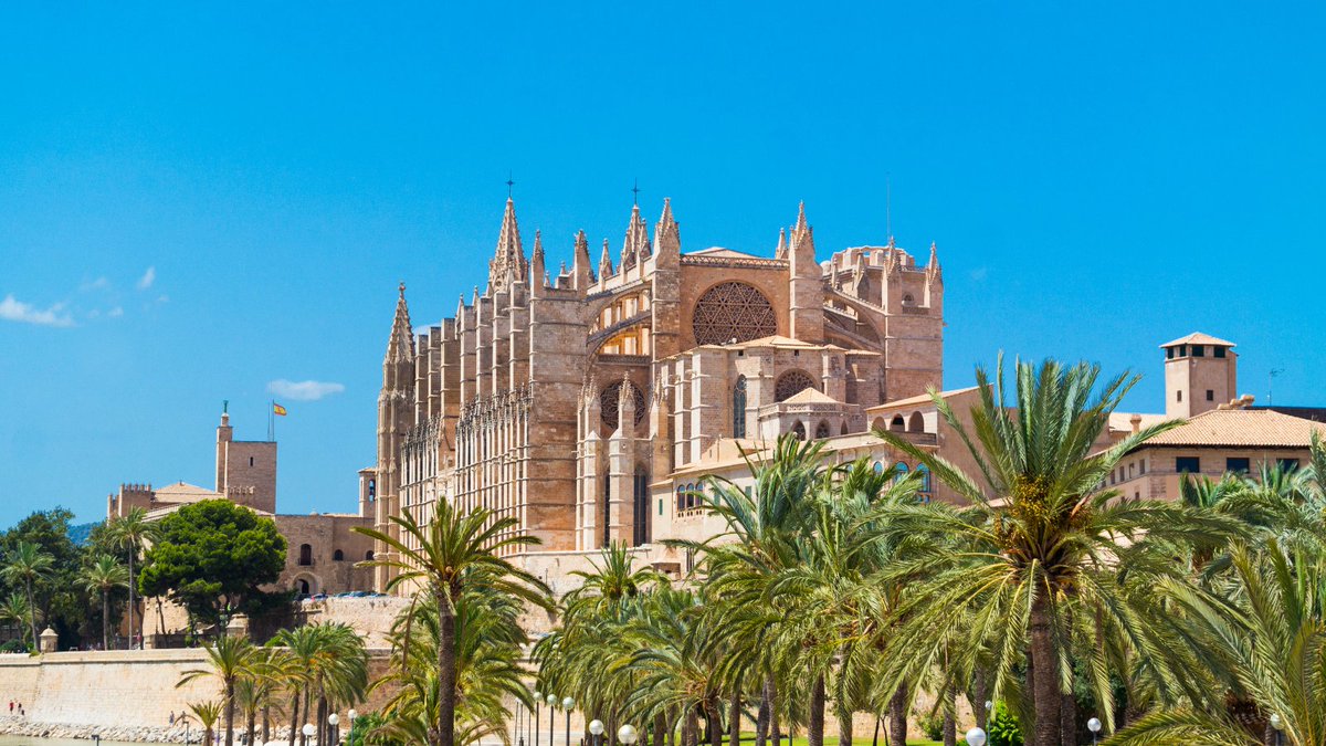 opodo's tweet photo. Have you ever been to Palma? We share with you 10 things you didn’t know about Palma! We bet you’ll save some of the best things to do in Palma for your next trip!
👉 https://t.co/btQ5mp6nqe
#opodo #opodoprime https://t.co/n9MAWBWZlu