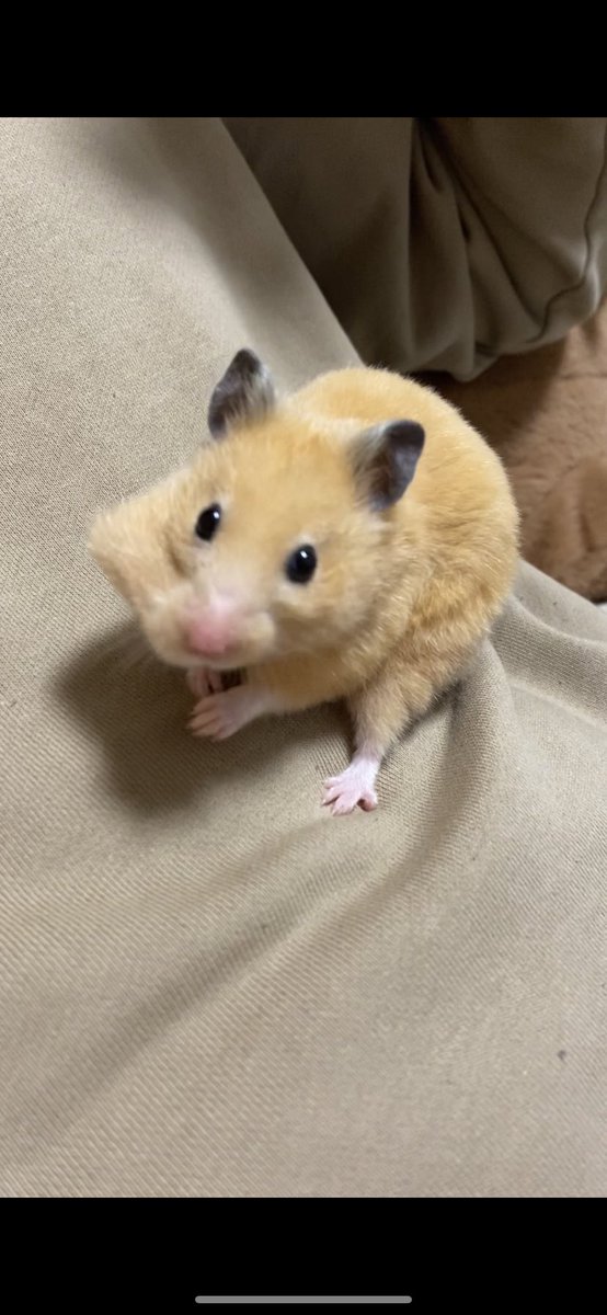 カボチャのせいでほっぺた尖っちゃった😂😂💕