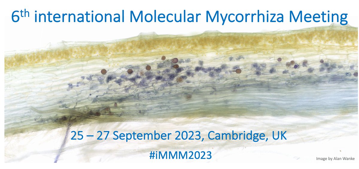 RT & Save the date: 6th international Molecular Mycorrhiza Meeting #iMMM2023 25-27 Sep 2023 in Cambridge @slcuplants more information will follow soon
