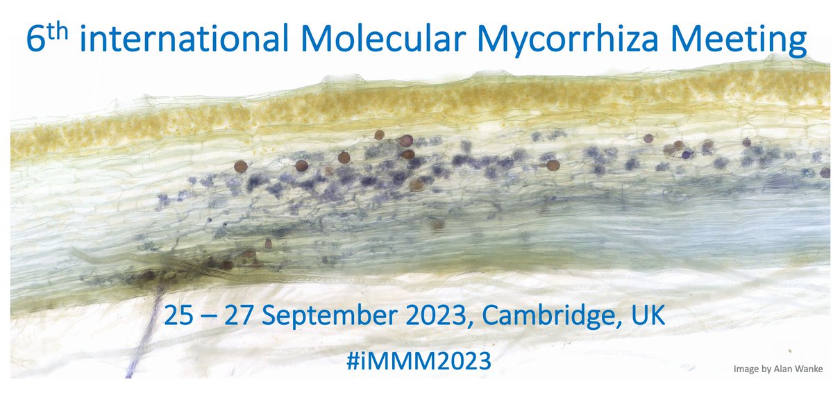 RT &amp; Save the date: 6th international Molecular Mycorrhiza Meeting #iMMM2023
25-27 Sep 2023 in Cambridge <a href="/slcuplants/">Sainsbury Laboratory Cambridge University (SLCU)</a>
more information will follow soon