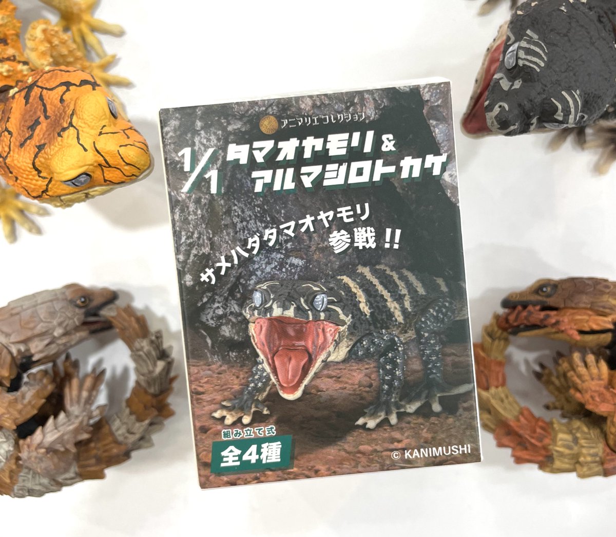 キデイランド原宿【公式】 on Twitter: