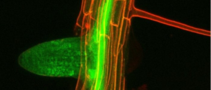 AnnaAmtmann's tweet photo. PhD opportunity in my lab:
https://t.co/0HTBq2nGPc https://t.co/jUAuQiMc5z