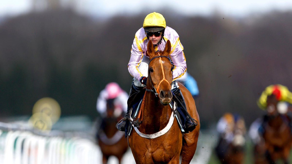 RoadCheltenham's tweet photo. 🔥 Nicky Henderson on LUCCIA via @SportingLife:

"She had a dirty scope which took a bit of time to clear up, but she’s back in very good form.

"I think she deserves to take her chance at Exeter and that should take her on, hopefully, to the Mares Novices Hurdle at Cheltenham." https://t.co/U3WJh4BfbI