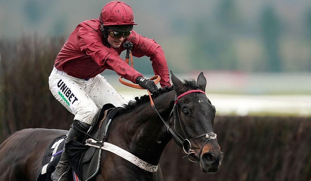 Road To Cheltenham tweet media