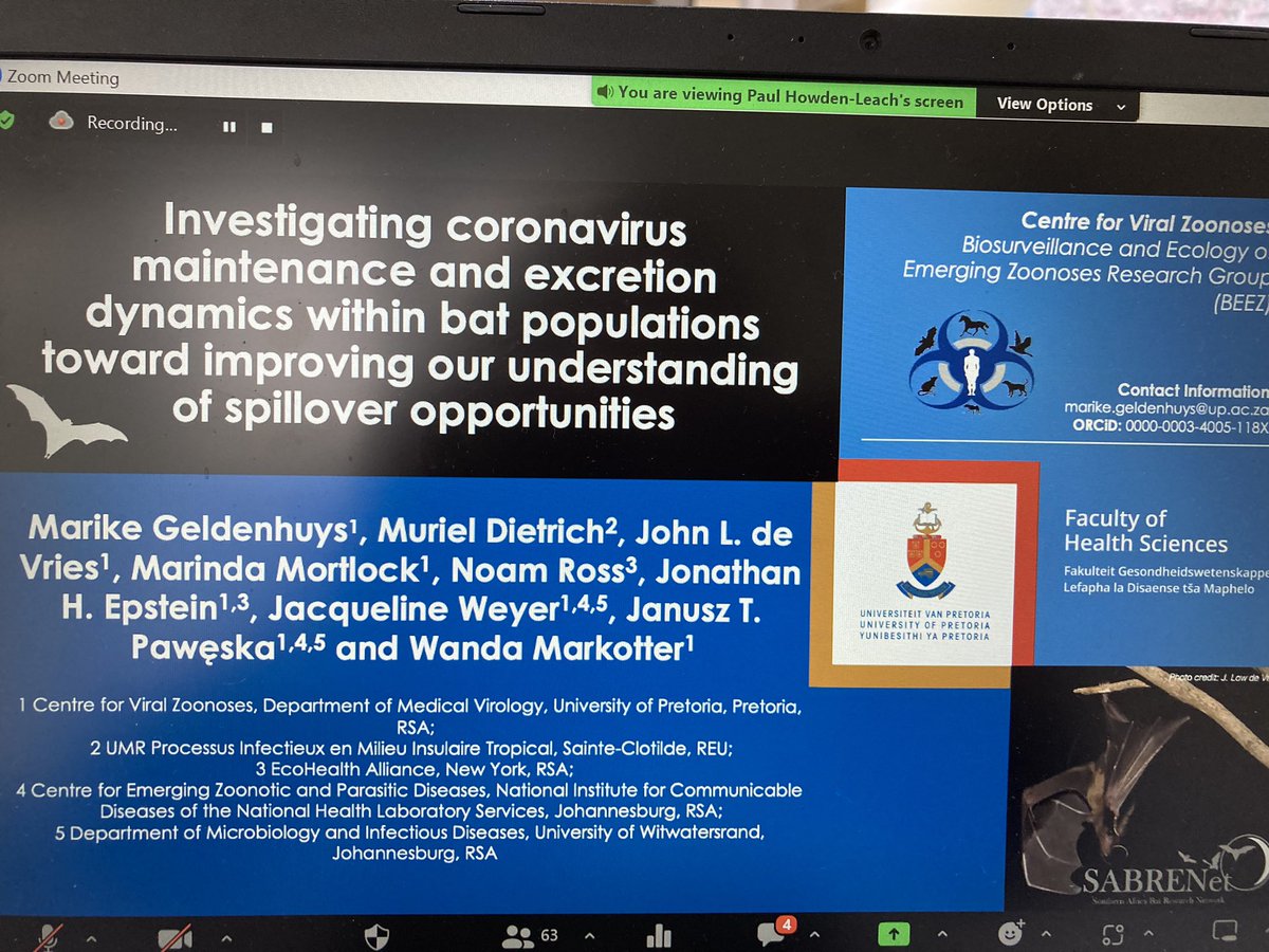 bats_w_borders's tweet photo. Talk 5 #WiBS2023 we have Dr #MarikeGeldenhuys @UPTuks talks about #bat #disease #surveillance in #Rousettus in #Africa - Egyptian fruit bat in #SouthAfrica #faecalsamples #genome https://t.co/SMaYFgqtV2