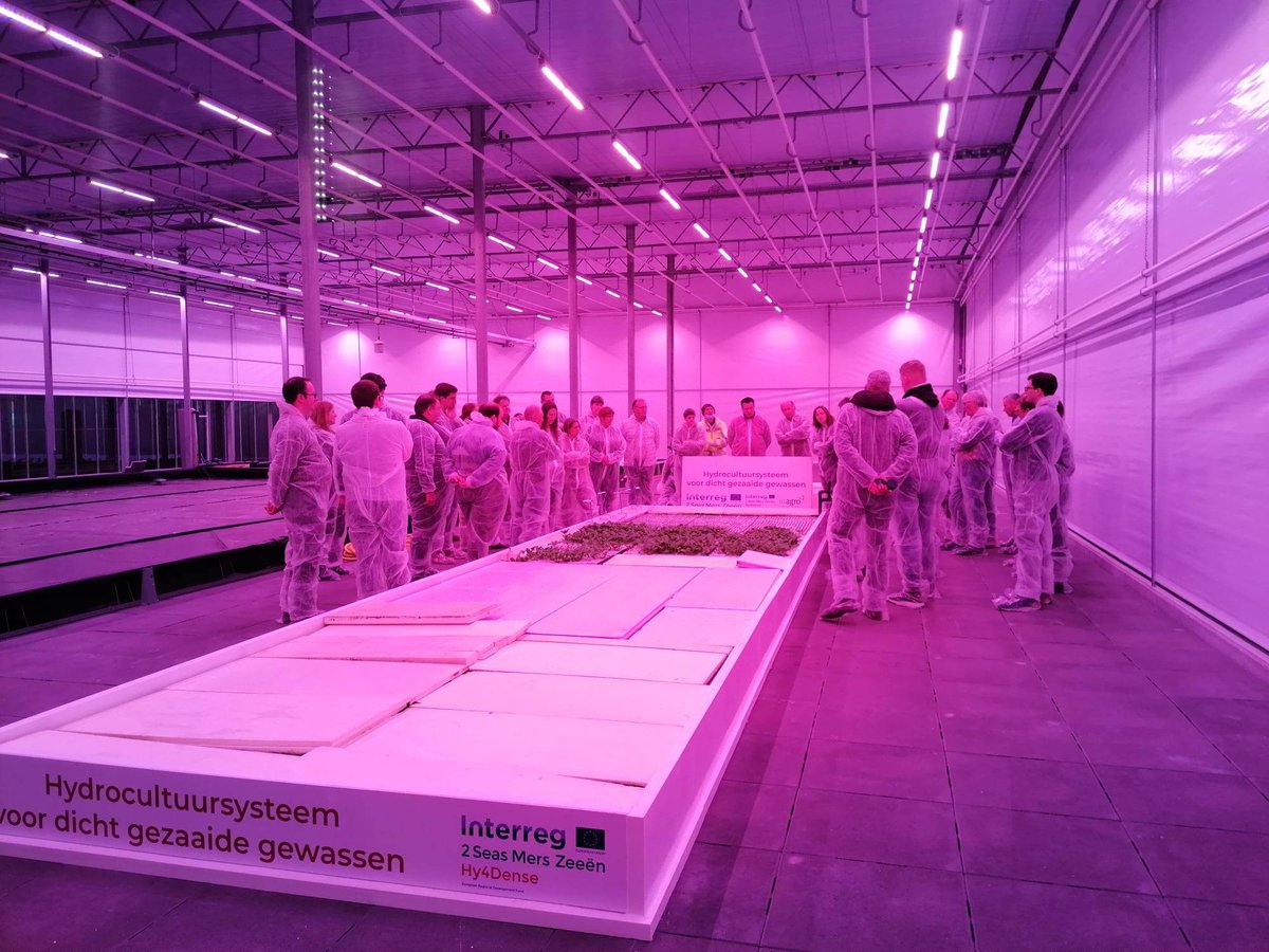 InAgrotopia tweet media