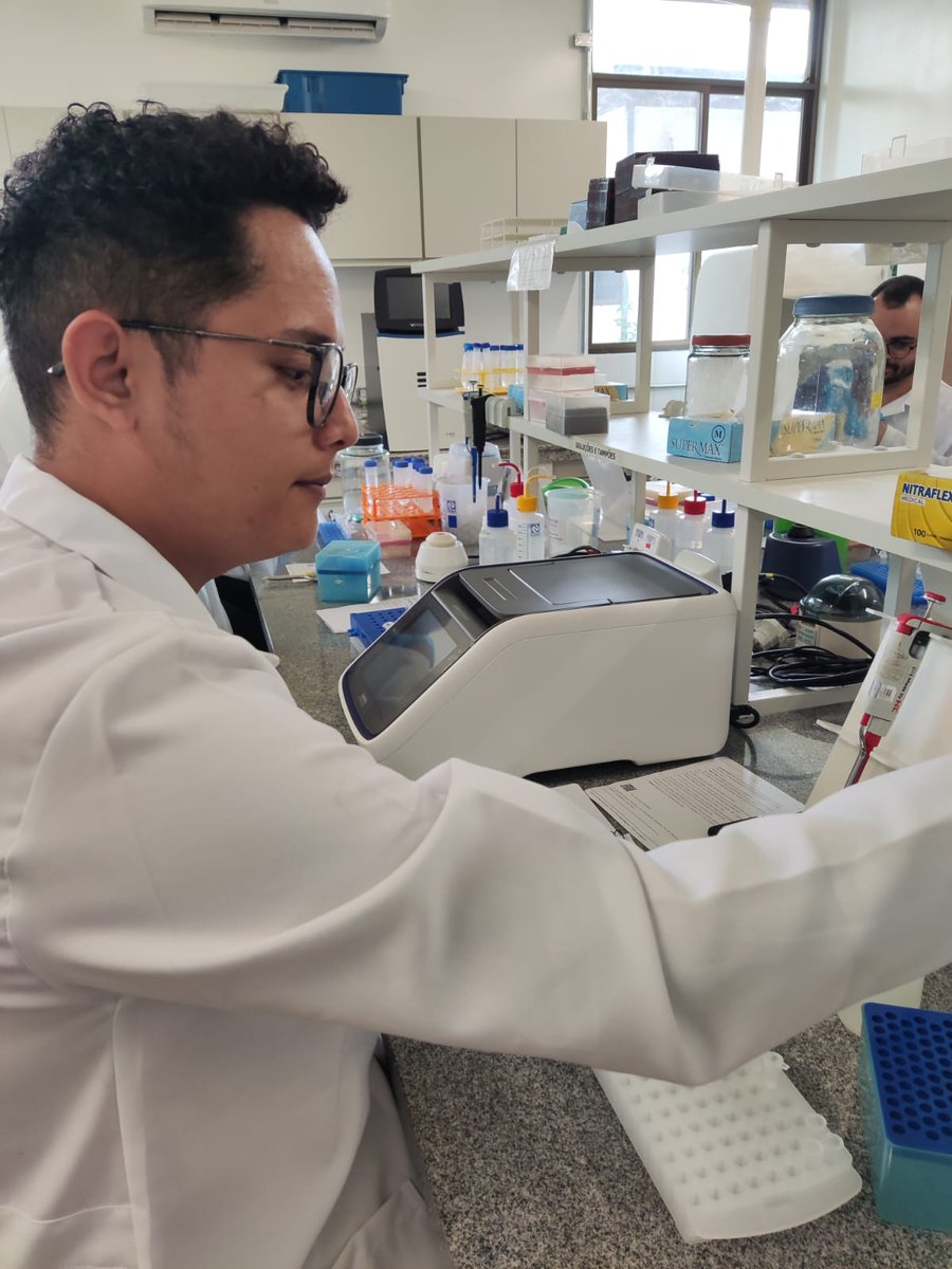 melquicamposs's tweet image. E a dissertação terá dados moleculares...
#biologiamolecular #mpeg