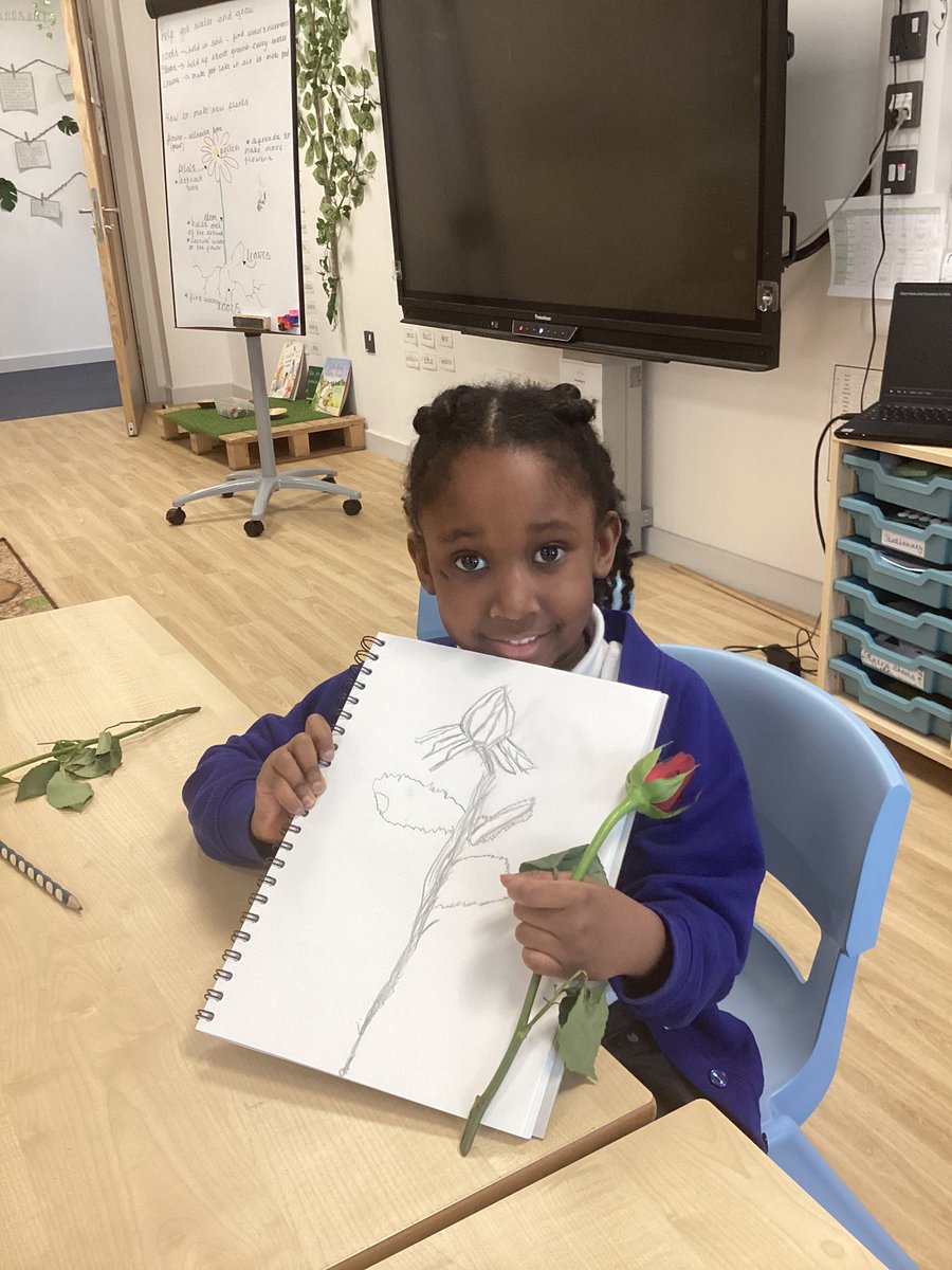 BucktonFields's tweet photo. In our curriculum lessons we have been learning about flowers and plants for our topic ‘Growing wild’. The children labelled parts of the plant and also had a go at drawing it! This week they will be using watercolours to enhance their sketch 🌷 https://t.co/nrNzggmdgh