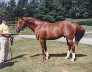 Mr Punter on Twitter: