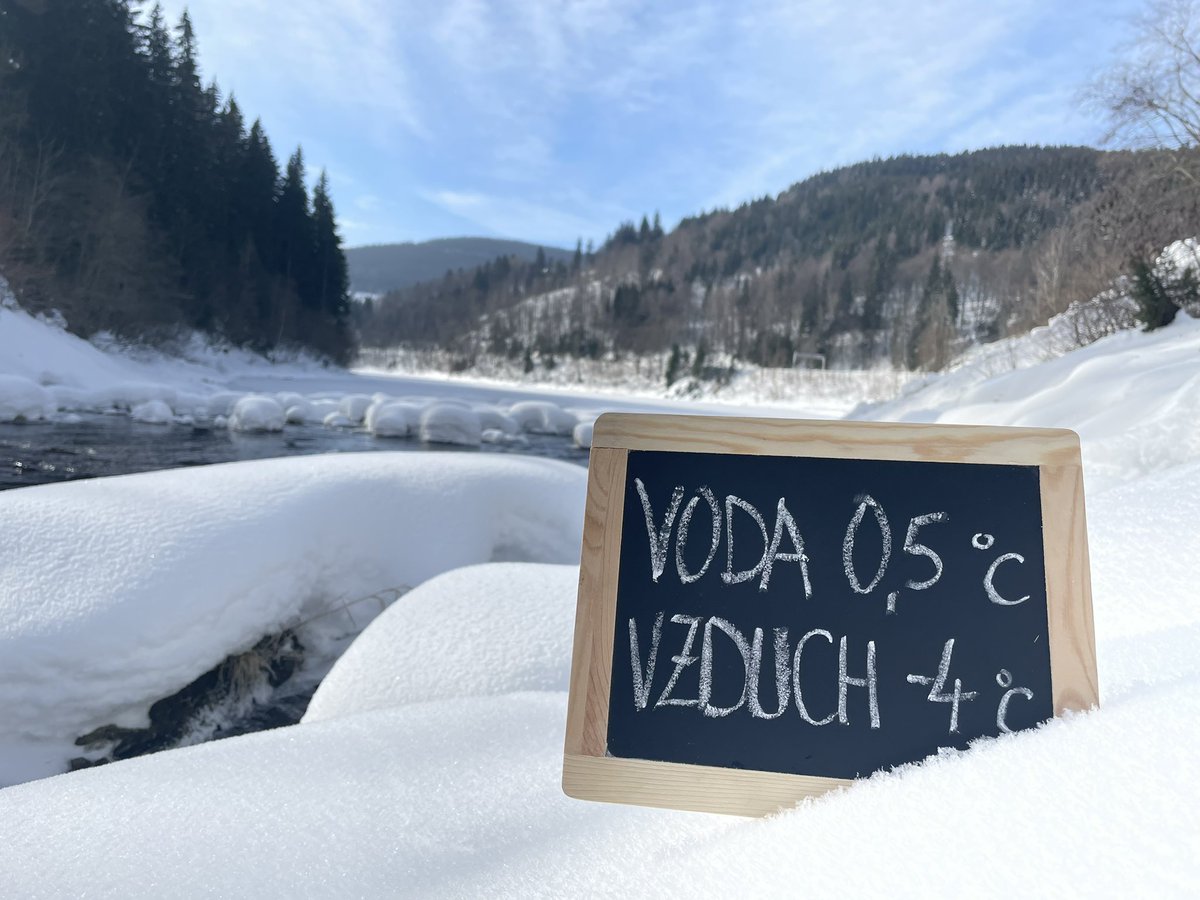VMrozi's tweet photo. Ze života mrože: labská lázeň🥶🏊🏻♂️❄️, trutnovský životabudič🍺 #VysehradstiMrozi #Krkonose #Spindl https://t.co/vFAIKPSS0w