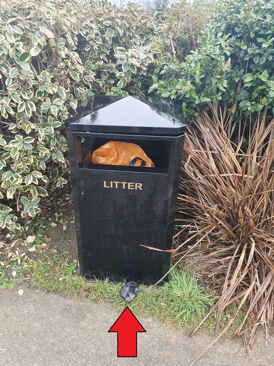 ChelmsHealth's tweet image. Did you know you can put your dog poo bags in any bin if there isnt a dog poo bin nearby? Leaving dog poo bags like this is littering. Please pick up after your dog and dispose of it correctly. #keepchelmsfordclean