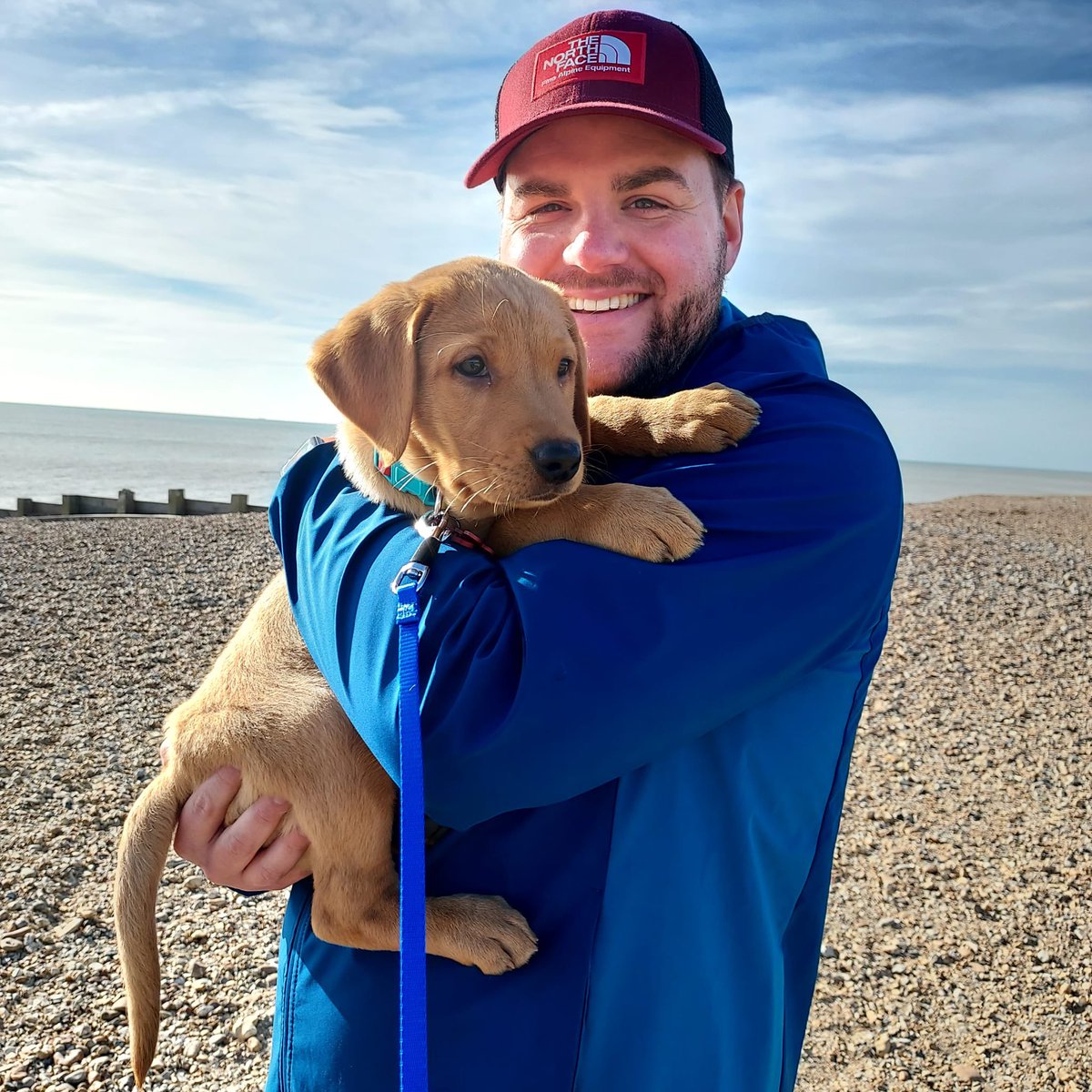 Rob Herriott tweet media