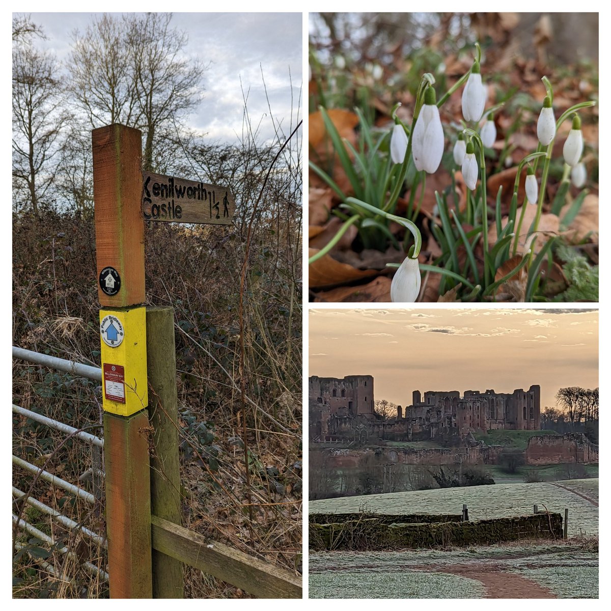 Castles and Snowdrops walking the <a href="/MILLENNIUM_WAY/">Millennium Way</a> today. Happy 25th  Birthday <a href="/VMware/">VMware</a> thanks for the day off