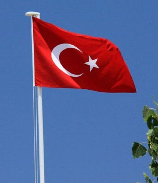 Le jeune Youtuber américain ishowspeed a collecté + de 700 000 $ de dons afin d'aider les victimes du séisme en Turquie