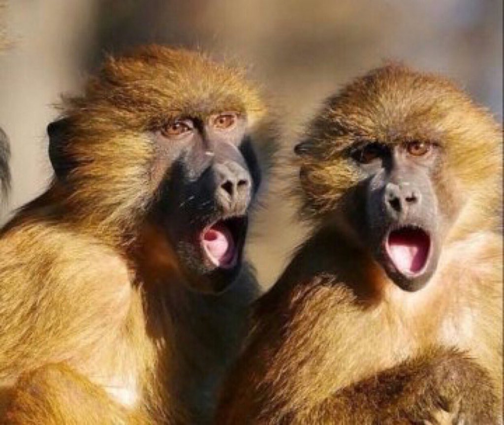 Paper_cutter_'s tweet image. #dynamicfriday @ajsarpong NanaAma: Nii Armah is my husband
Me: