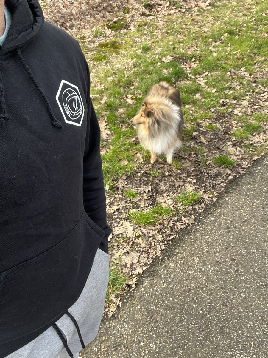 Morning walk before we start the grind
Repping a <a href="/Blklabel3/">Black Label Clothing - WEARABLE NFTs</a> hoodie!

#crofam